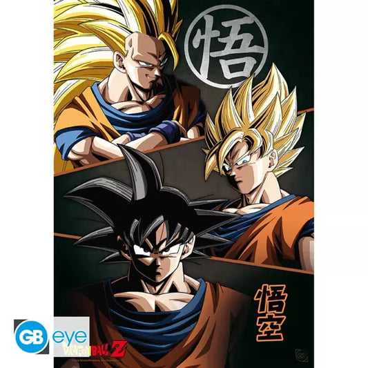 9 Pack Posters Portfolio Dragon Ball Z