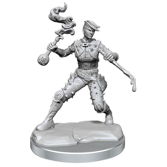 Dungeons & Dragons Frameworks Miniature Model Kit Human Rogue Female Wizkids