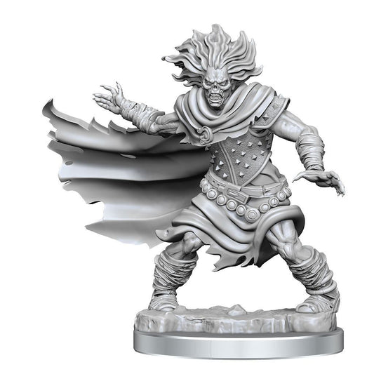 Dungeons & Dragons Frameworks Miniature Model Kit Wight Wizkids
