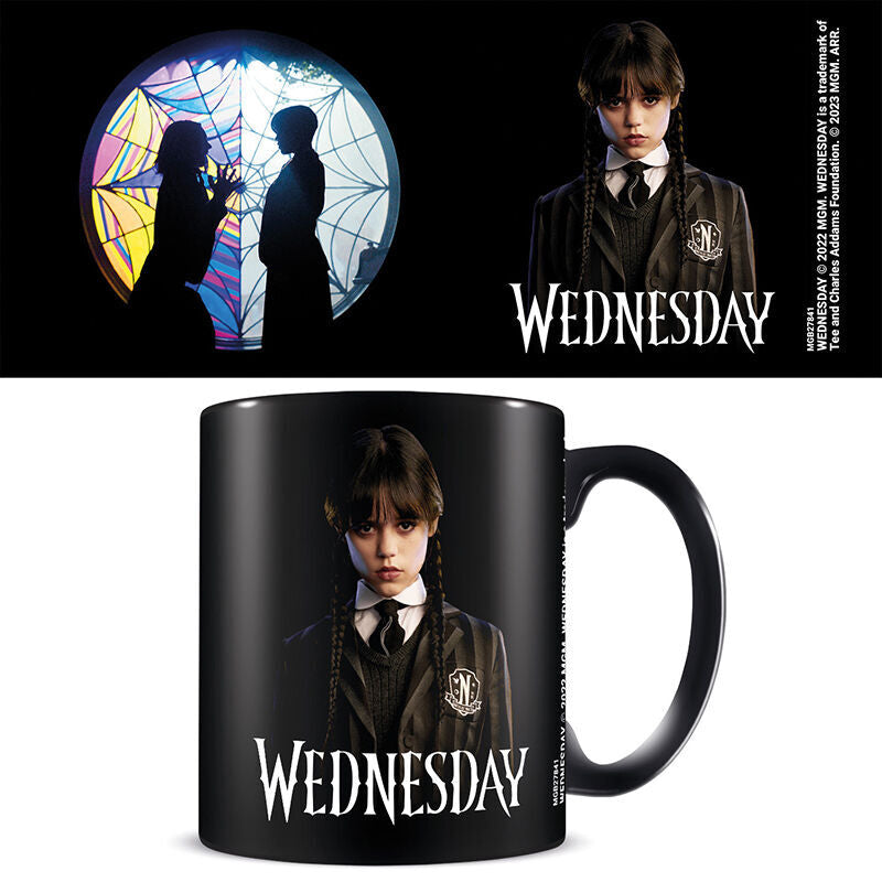 Wednesday Friendship mug 315ml