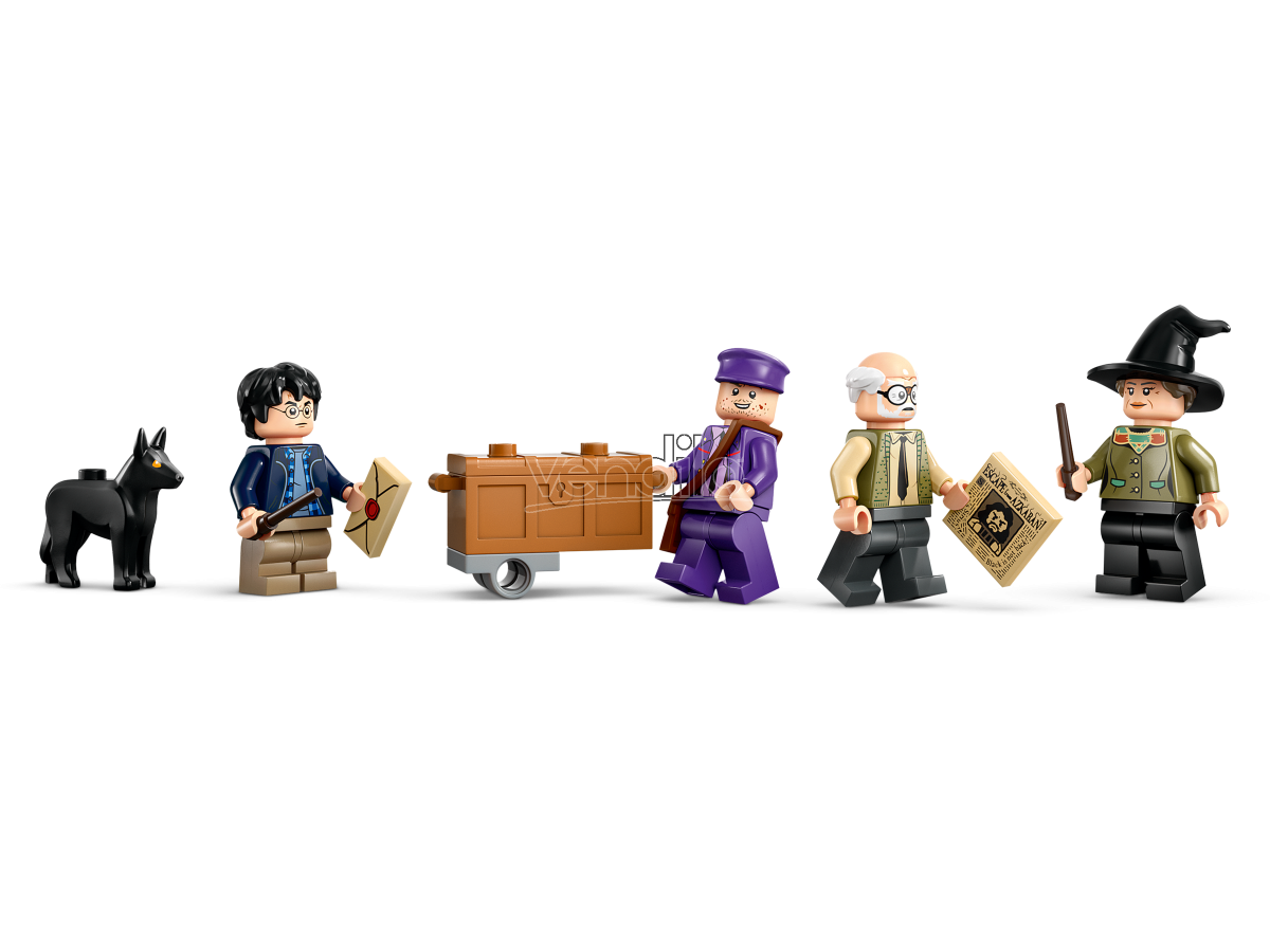 LEGO HARRY POTTER 76446 - NIGHTTIME ADVENTURE