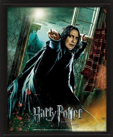 POSTER 3D LENT HARRY POTTER SNAPE - GADGET