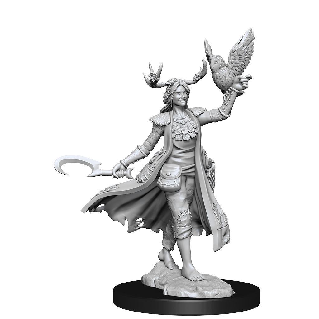 Dungeons & Dragons Frameworks Miniature Model Kit Human Druid Female Wizkids