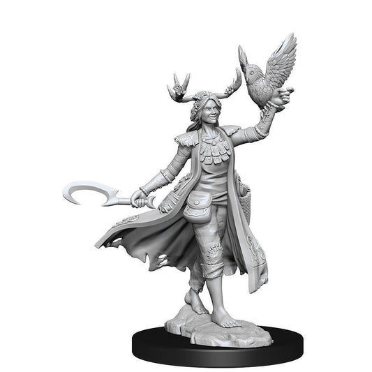 Dungeons & Dragons Frameworks Miniature Model Kit Human Druid Female Wizkids