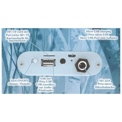 Disney Frozen Bluetooth portable speaker with microphone