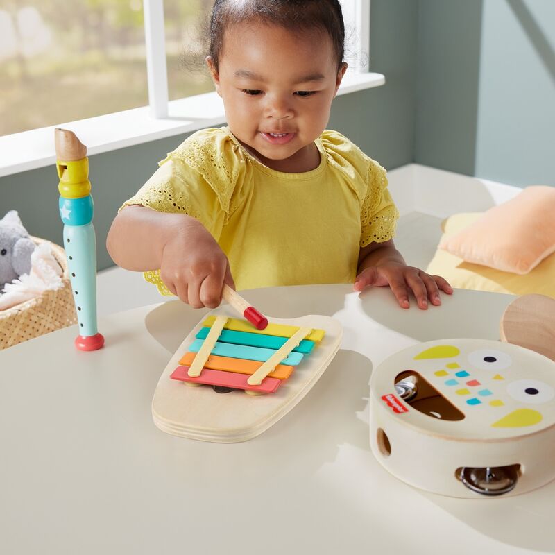 Wooden Musical Instrument Kit