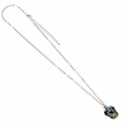Harry Potter Ravenclaw necklace