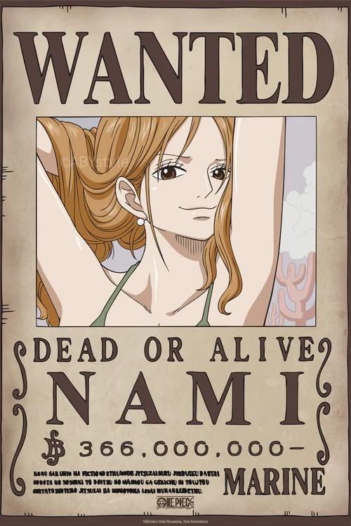 One Piece Poster Wanted Nami Wano 52 x 38 cm