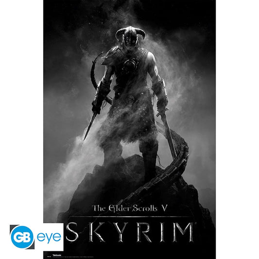 Skyrim - Dragonborn - Poster (91.5x61)
